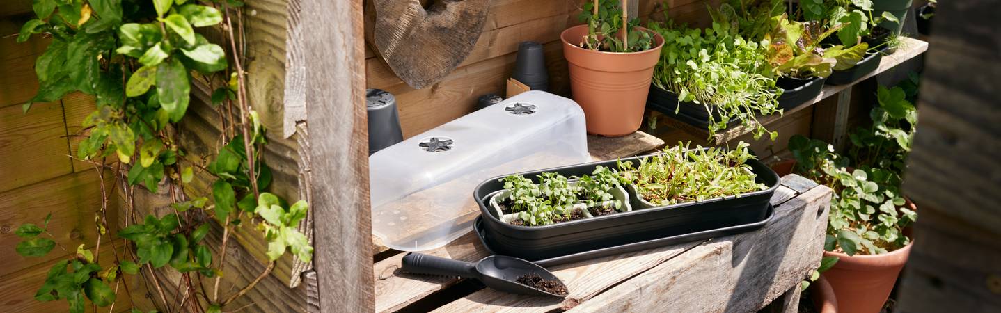 green basics plateau de semis 22cm vert pierre